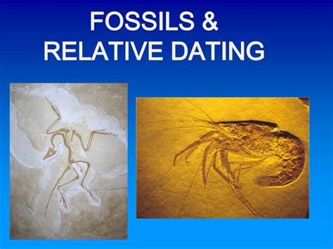 Describe how relative dating of fossils are determined